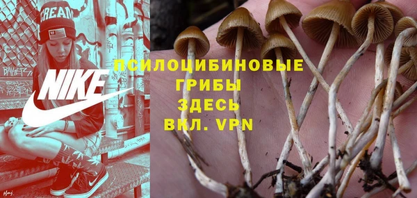 ешки Армянск