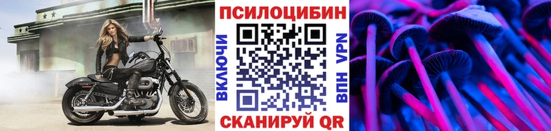 Псилоцибиновые грибы Psilocybine cubensis  Медвежьегорск 